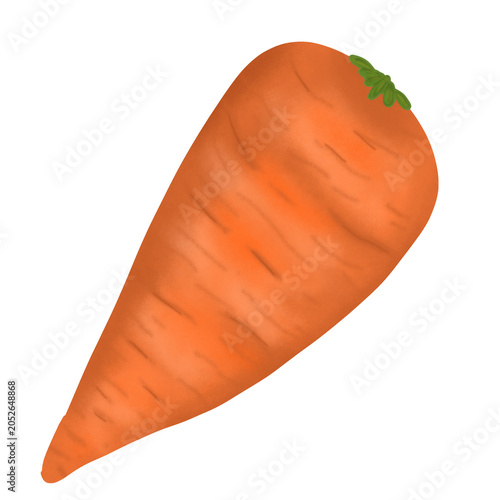 Canvastavla Fresh orange carrot vegetable digital illustration
