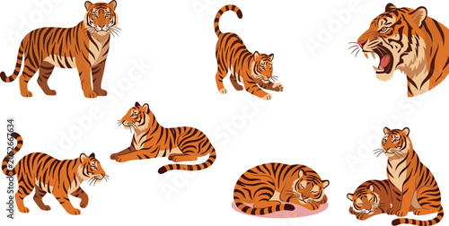 Photos Vector cartoon tiger collection with wild predatory animals standing stretching