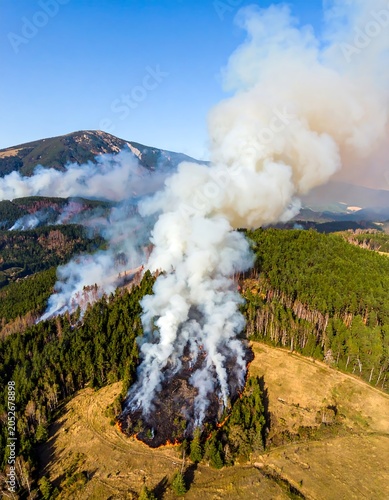Aerial view of a forest fire with smoke billowing into the bright sky
