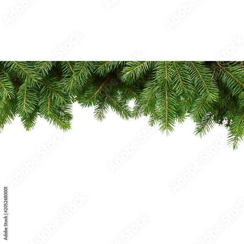 Evergreen Fir Branches Border Top Christmas holiday isolated on a transparent background