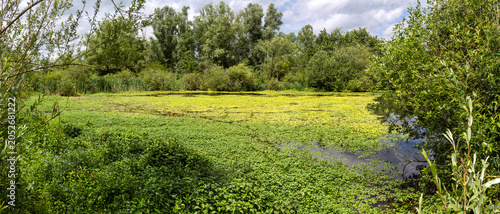 Molenplas protected area near Stevensweert, part of the Maas valley river park on the Netherlands Belgium border, designed for water storage and nature restoration