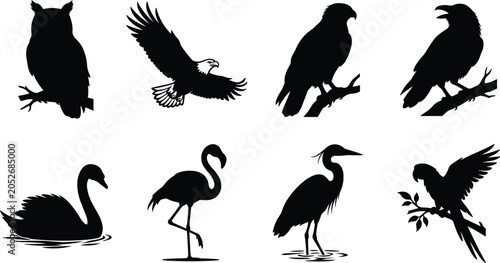 Collection of black bird silhouettes including owl eagle hawk raven swan flamingo heron and parrot isolated on white background