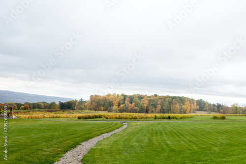Rocky path leading to a group of trees in autumn