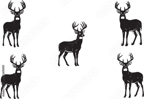 Foto White tailed deer silhouette on white background
