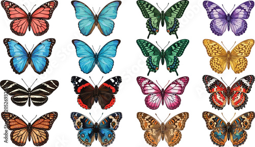 Obraz na płótnie Beautiful multicolored butterfly vector collection featuring detailed wing patte