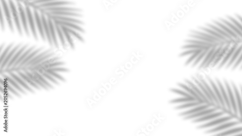 Overlay shadow effect of realistic tropical palm leaves on transparent background. Black and white coconut leaf blur shadow overlay summer decorative element design. Vector illustration.