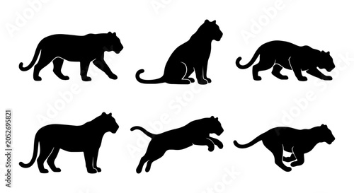 Photography Black Panther Silhouettes, Wild Cat Poses Vector Set, Elegant Feline Animal Grap
