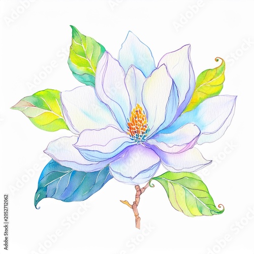 magnolia flower isolated on white background
