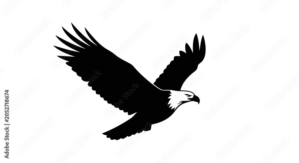 Fototapeta premium American Bald Eagle in Flight Silhouette.