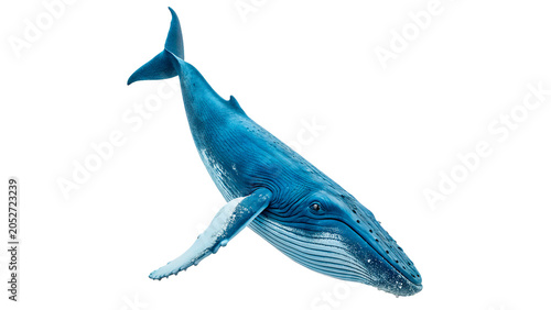 Konstfotografi Beautiful majestic blue whale marine mammal swimming under water ocean isolated