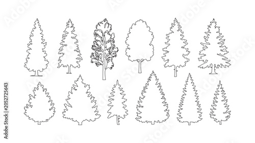 Fotografie Collection of pine and deciduous trees outline vector illustrations for nature design