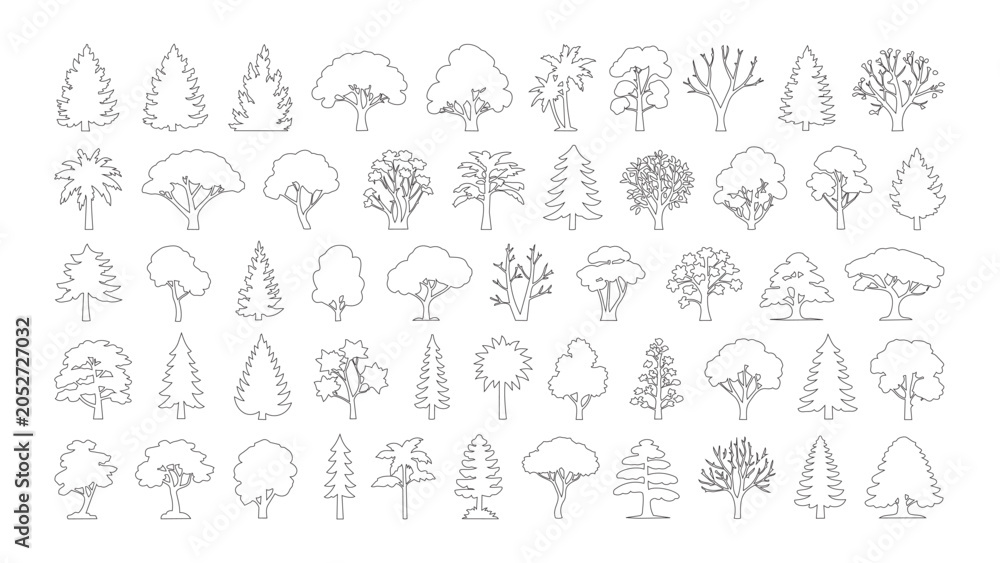 Fototapeta premium Various tree species in thin line art style for landscaping and architectural planning.