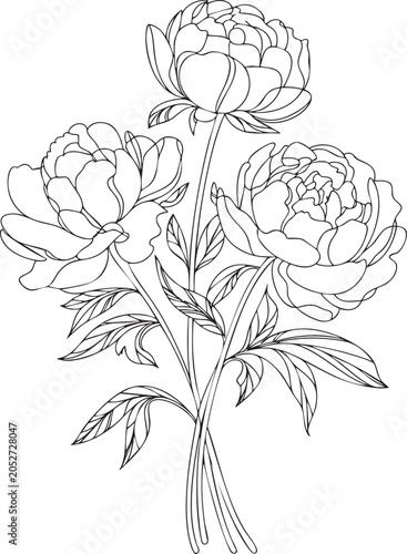 Black and white line of three peony flowers bouquet