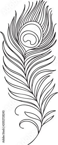 Black and white line peacock feather line monochrome