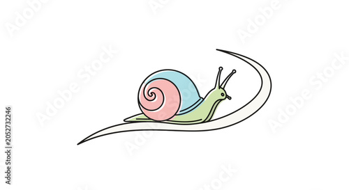 Tableau sur toile Colorful Snail Shell Animal Slow.