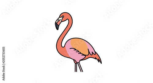 Pink Flamingo Bird Standing Alone.