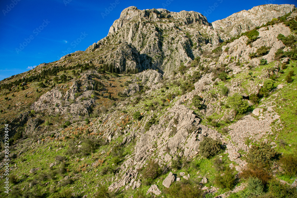 Fototapeta premium Rocky mountain landscape above boka kotorska bay from kotor montenegro.