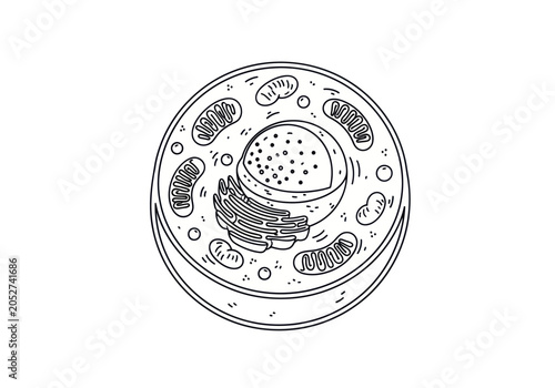 Bild auf Leinwand Detailed Hand-Drawn Illustration of an Animal Cell Structure.
