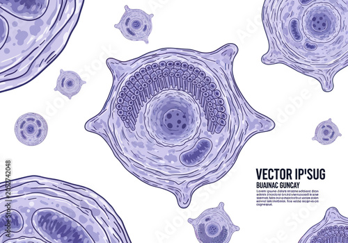 Foto Detailed Microscopic View of a Single Cell Structure.