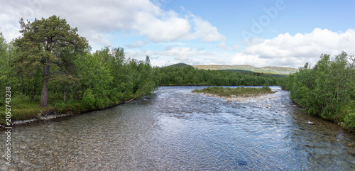 Bild auf Leinwand Forest in Stabbursdalen, Porsanger, Finnmark