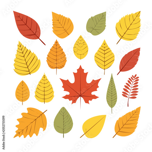 Colorful autumn leaves flat design illustration
