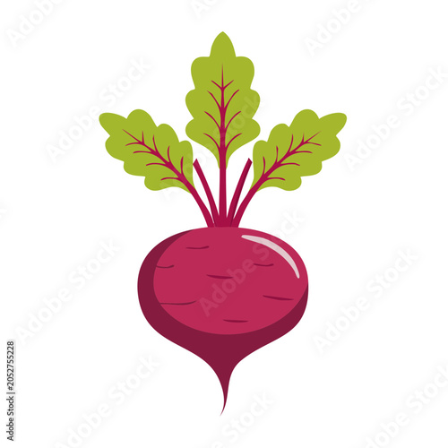 Flat design illustration of a beet with leaves