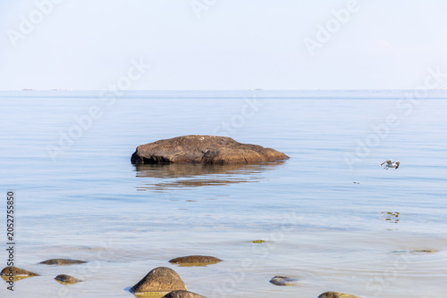rocks in the sea