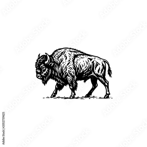 Stylized American Bison Walking Illustration with Shaggy Fur and Prominent Horns.