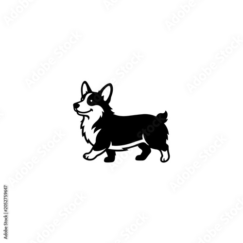 Cute black and white Corgi dog illustration with a happy expression walking pose and fluffy outline.