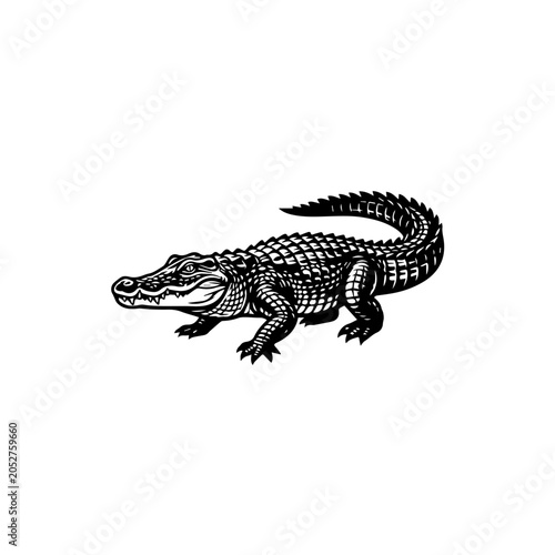 Dynamic black and white alligator illustration detailed scaly skin sharp teeth powerful pose.