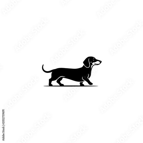 Black Dachshund Dog Silhouette Walking with Long Body and Floppy Ears.