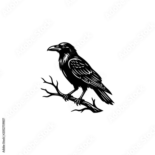 Stylized black raven perched on a bare branch detailed feathers strong beak graphic illustration.