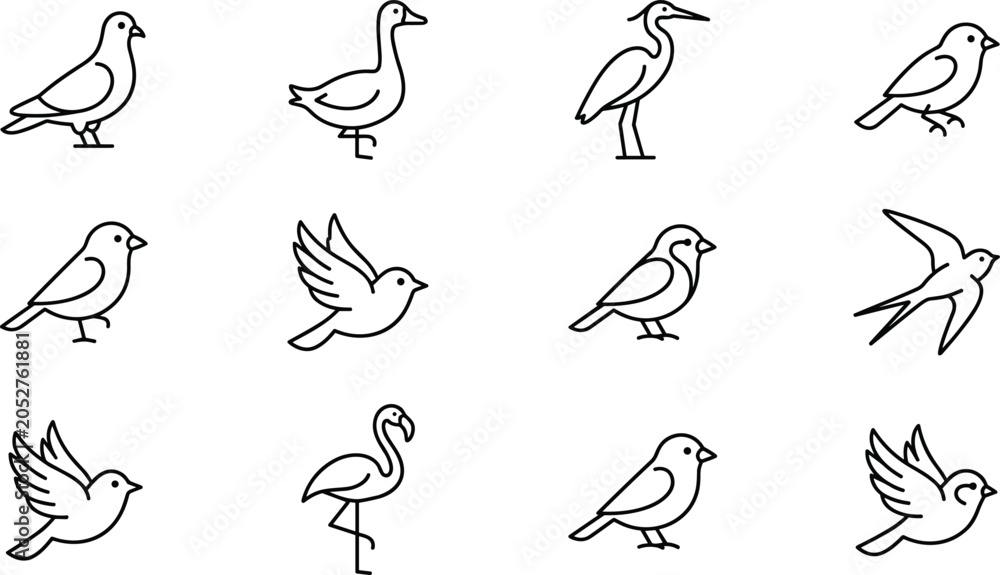 Obraz premium Bird species and wildlife nature line icon set with pigeon duck heron sparrow flamingo flying symbols