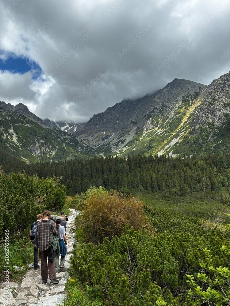 Fototapeta premium Group of tourists hiking on a rocky trail in a dramatic mountain valley with pine forests. Active travel and adventure.