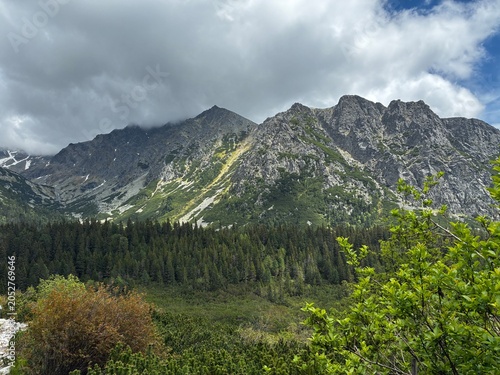 Photos Dramatic rocky mountain peaks partially covered by heavy clouds above dense green coniferous forest, wild alpine landscape