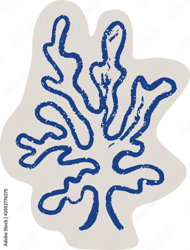 Fototapeta premium Coral Reef Wildlife