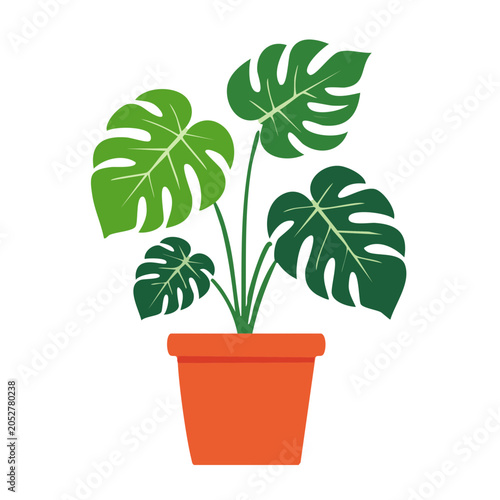 Monstera plant illustration in orange pot
