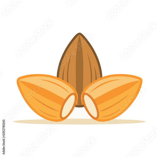 Three almonds in flat design style
