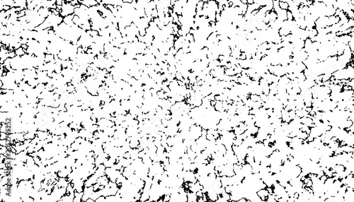 Photos Abstract black and white grunge texture showing detailed organic cracked pattern