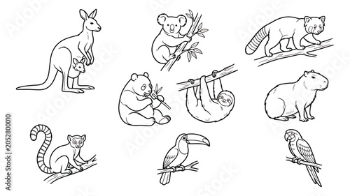 Photography Wild animal line art collection, 9 exotic wildlife vector icons, zoo animal colo