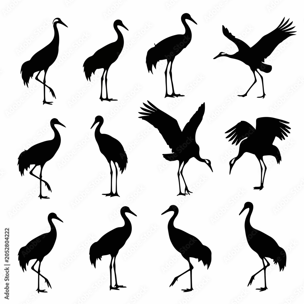 Obraz premium Dark crane silhouettes isolated on white background