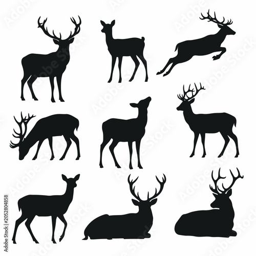 Photography Deer Silhouettes Assorted Collection On White Background