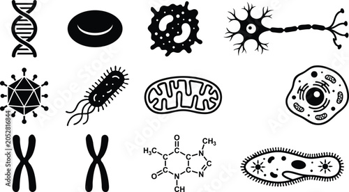 Bild auf Leinwand Microscopic biology icon set with DNA, red blood cell, neuron, bacterium, mitoch