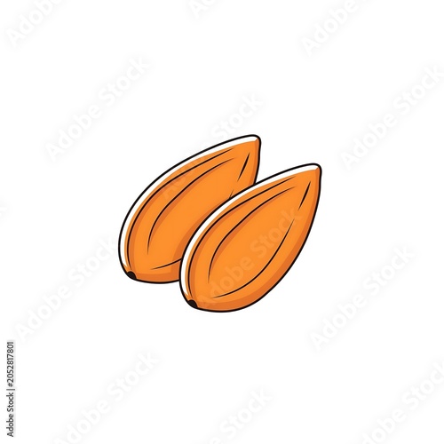 Two orange seeds or pits on white background for food or botanical illustration.