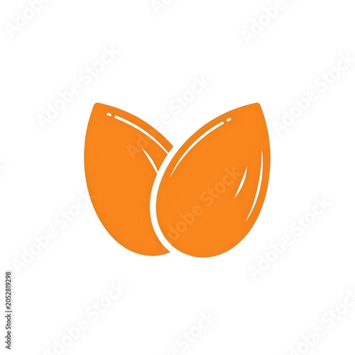 Orange seed pod or capsule with two halves isolated on white background.
