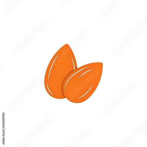 Two orange almond seeds or nuts side by side  healthy snack.