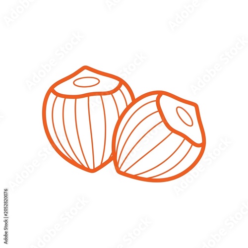 Two orange line art onions with tops removed and lines  vegetable illustration.