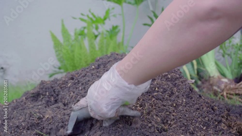 Mixing soil with fertilizer using a hand shovel and a hand fork close up, agriculture.
