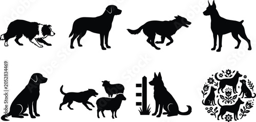 Photos Working dog silhouette bundle featuring herding border collies running retriever