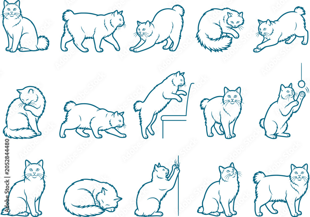 Obraz premium Bobtail cat breed variety pack featuring sketches of short-tailed felines in active poses